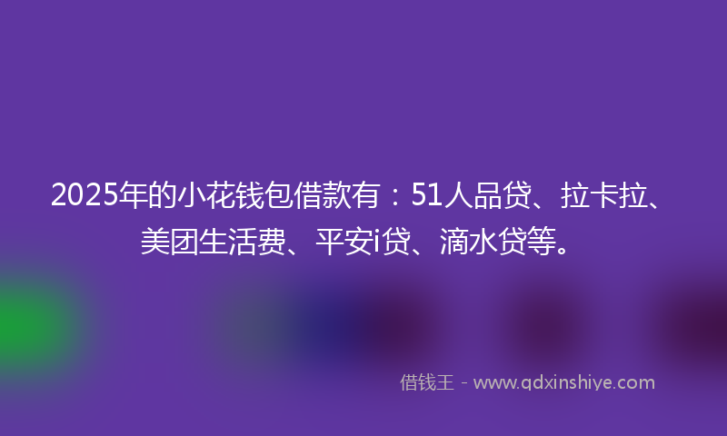 2025年的小花钱包借款有：51人品贷、拉卡拉、美团生活费、平安i贷、滴水贷等。