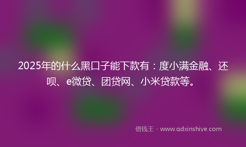 2025年的什么黑口子能下款有：度小满金融、还呗、e微贷、团贷网、小米贷款等。