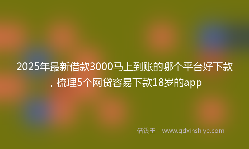 2025年最新借款3000马上到账的哪个平台好下款，梳理5个网贷容易下款18岁的app