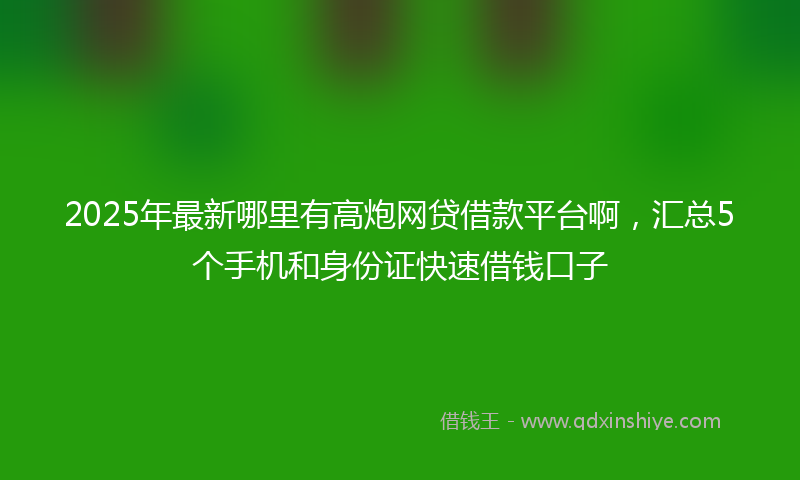 2025年最新哪里有高炮网贷借款平台啊，汇总5个手机和身份证快速借钱口子