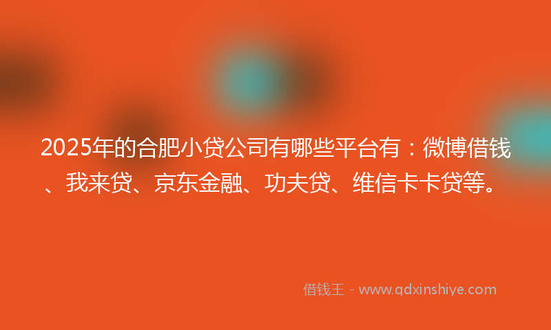 2025年的合肥小贷公司有哪些平台有：微博借钱、我来贷、京东金融、功夫贷、维信卡卡贷等。