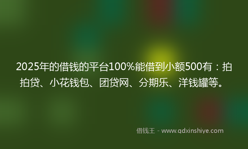 2025年的借钱的平台100%能借到小额500有：拍拍贷、小花钱包、团贷网、分期乐、洋钱罐等。