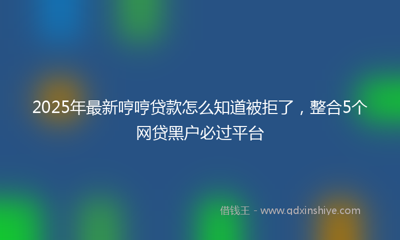 2025年最新哼哼贷款怎么知道被拒了，整合5个网贷黑户必过平台
