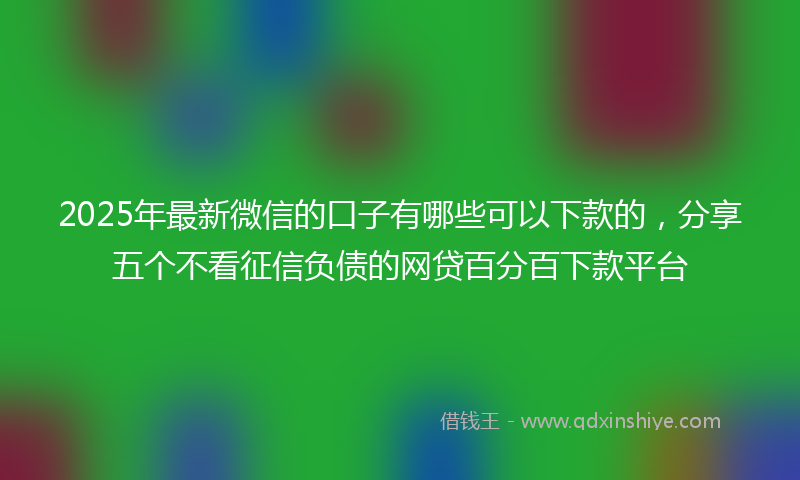 2025年最新微信的口子有哪些可以下款的，分享五个不看征信负债的网贷百分百下款平台