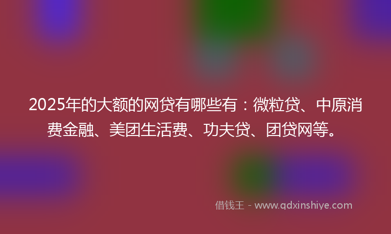 2025年的大额的网贷有哪些有：微粒贷、中原消费金融、美团生活费、功夫贷、团贷网等。