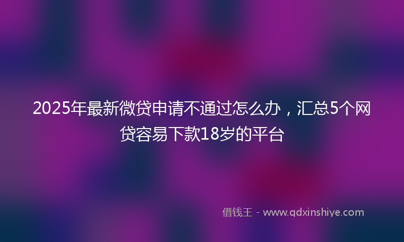 2025年最新微贷申请不通过怎么办，汇总5个网贷容易下款18岁的平台