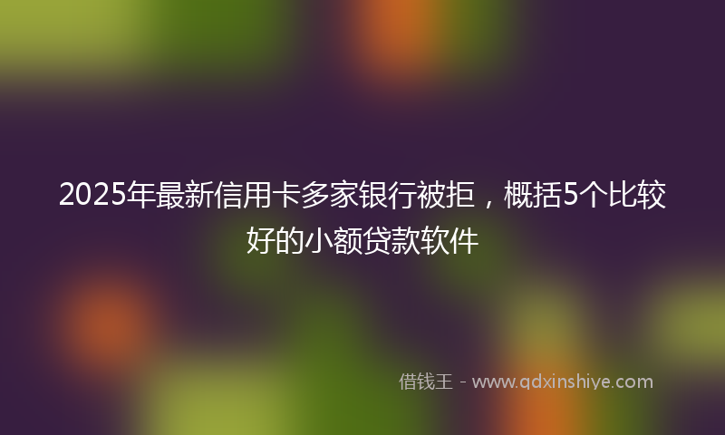 2025年最新信用卡多家银行被拒，概括5个比较好的小额贷款软件