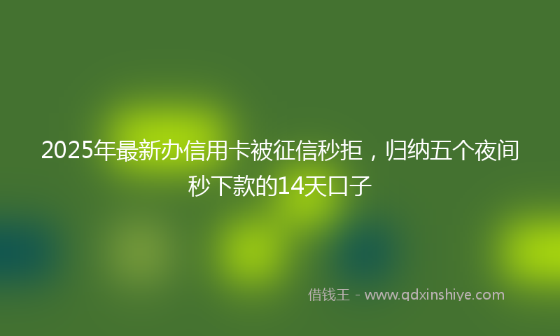 2025年最新办信用卡被征信秒拒，归纳五个夜间秒下款的14天口子