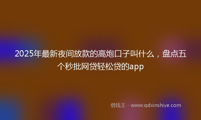 2025年最新夜间放款的高炮口子叫什么，盘点五个秒批网贷轻松贷的app