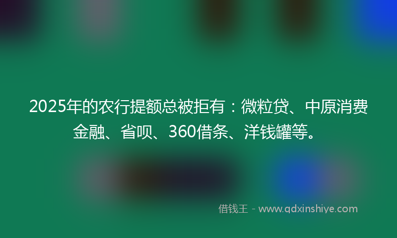 2025年的农行提额总被拒有：微粒贷、中原消费金融、省呗、360借条、洋钱罐等。