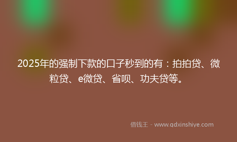 2025年的强制下款的口子秒到的有：拍拍贷、微粒贷、e微贷、省呗、功夫贷等。