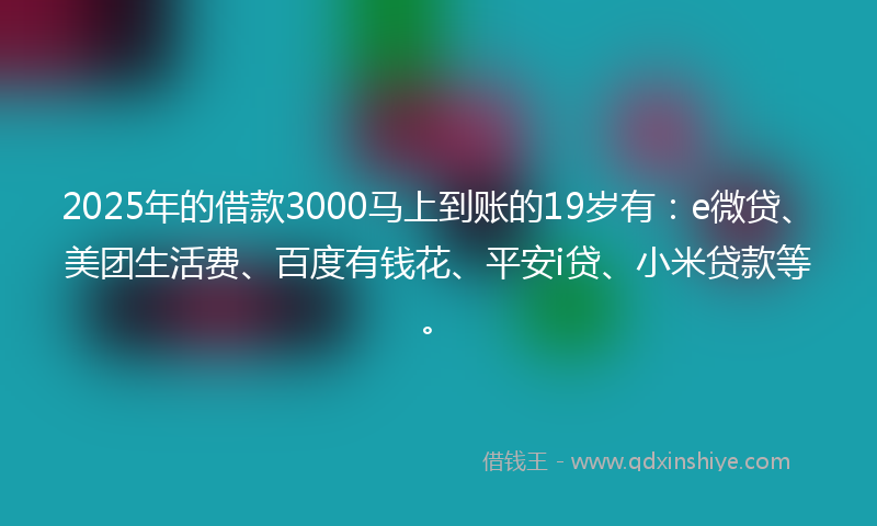 2025年的借款3000马上到账的19岁有：e微贷、美团生活费、百度有钱花、平安i贷、小米贷款等。