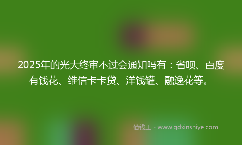 2025年的光大终审不过会通知吗有：省呗、百度有钱花、维信卡卡贷、洋钱罐、融逸花等。