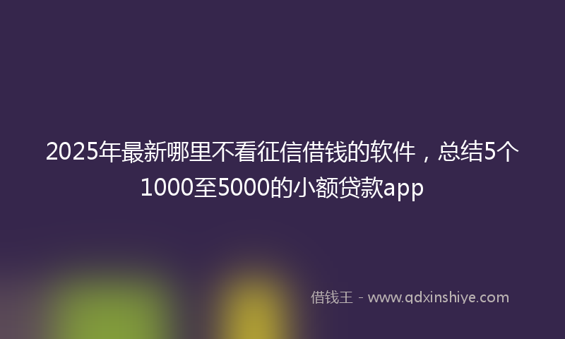 2025年最新哪里不看征信借钱的软件，总结5个1000至5000的小额贷款app