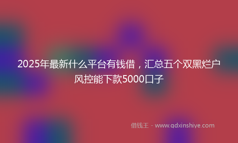 2025年最新什么平台有钱借，汇总五个双黑烂户风控能下款5000口子