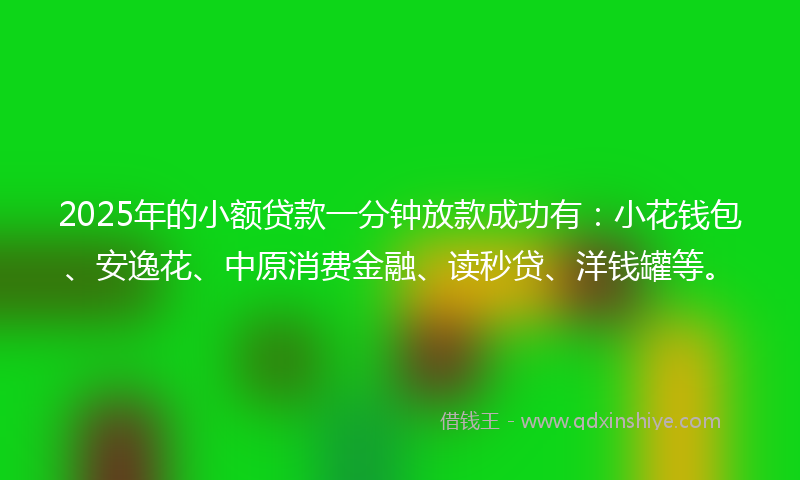 2025年的小额贷款一分钟放款成功有：小花钱包、安逸花、中原消费金融、读秒贷、洋钱罐等。