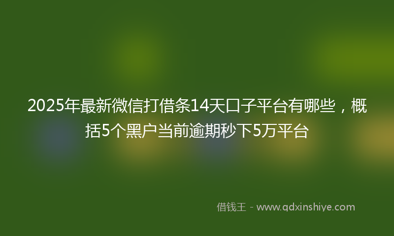 2025年最新微信打借条14天口子平台有哪些，概括5个黑户当前逾期秒下5万平台
