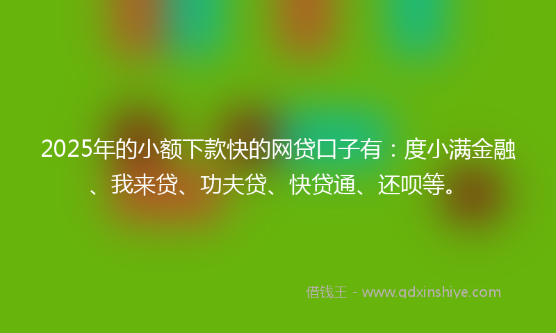 2025年的小额下款快的网贷口子有：度小满金融、我来贷、功夫贷、快贷通、还呗等。
