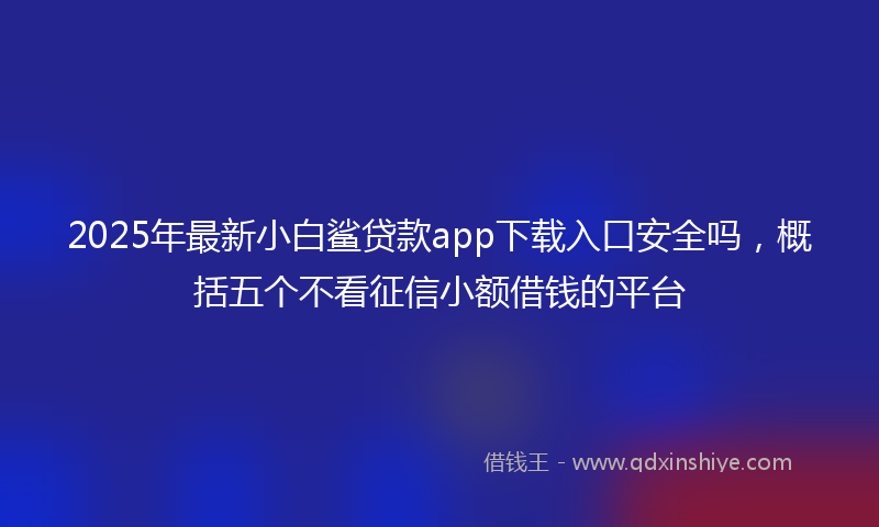 2025年最新小白鲨贷款app下载入口安全吗，概括五个不看征信小额借钱的平台