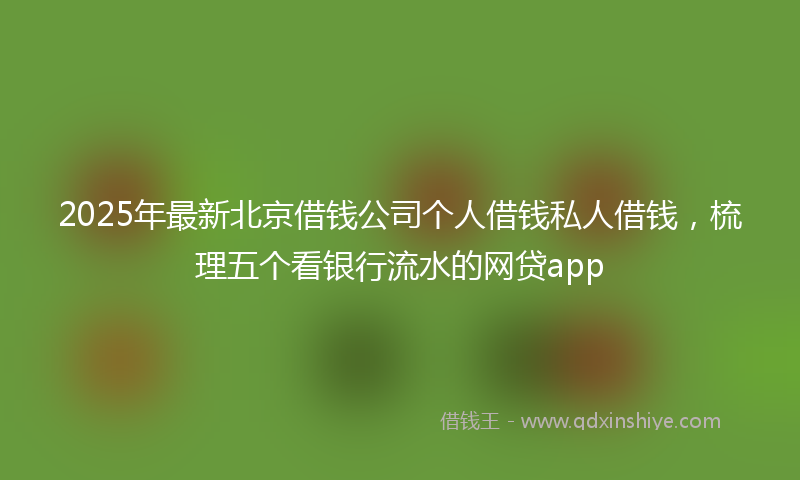 2025年最新北京借钱公司个人借钱私人借钱，梳理五个看银行流水的网贷app