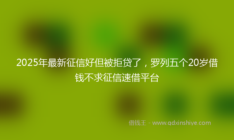 2025年最新征信好但被拒贷了，罗列五个20岁借钱不求征信速借平台