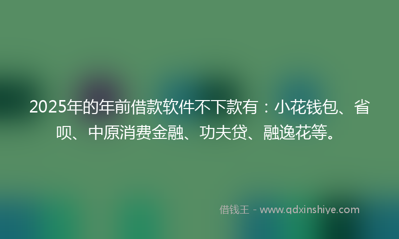 2025年的年前借款软件不下款有：小花钱包、省呗、中原消费金融、功夫贷、融逸花等。
