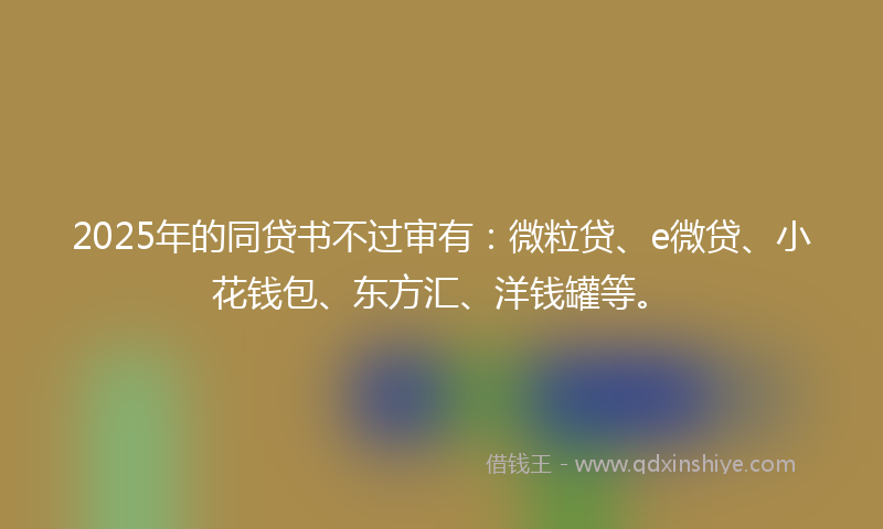 2025年的同贷书不过审有：微粒贷、e微贷、小花钱包、东方汇、洋钱罐等。