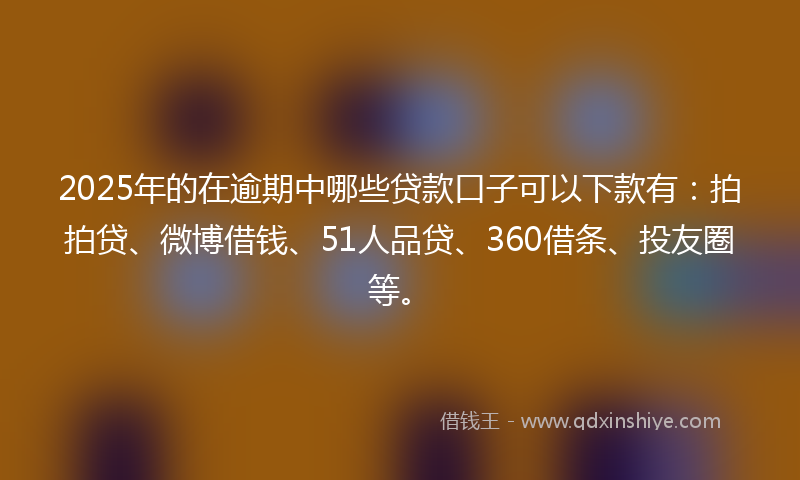 2025年的在逾期中哪些贷款口子可以下款有：拍拍贷、微博借钱、51人品贷、360借条、投友圈等。