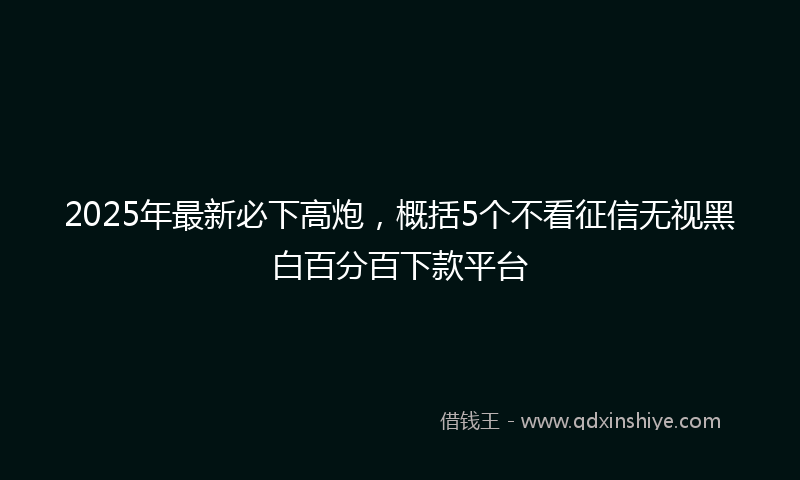 2025年最新必下高炮，概括5个不看征信无视黑白百分百下款平台