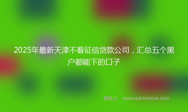 2025年最新天津不看征信贷款公司，汇总五个黑户都能下的口子