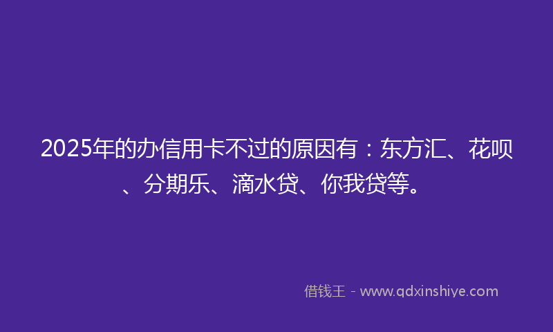 2025年的办信用卡不过的原因有：东方汇、花呗、分期乐、滴水贷、你我贷等。