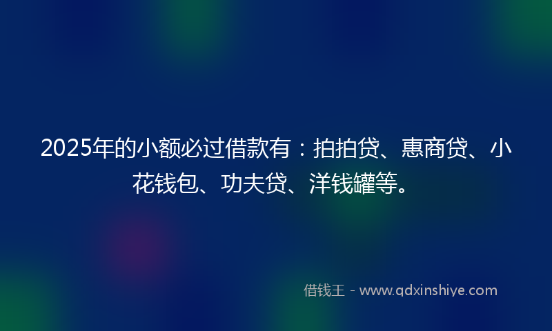 2025年的小额必过借款有：拍拍贷、惠商贷、小花钱包、功夫贷、洋钱罐等。