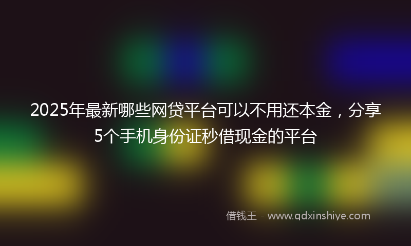2025年最新哪些网贷平台可以不用还本金，分享5个手机身份证秒借现金的平台