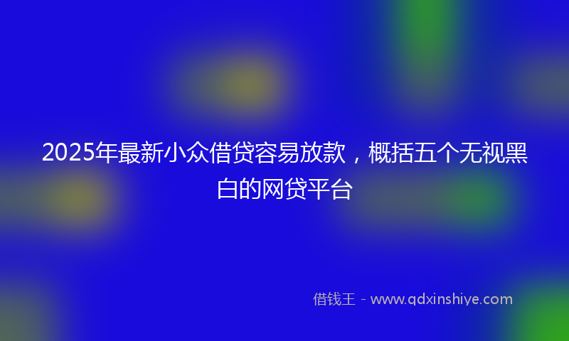 2025年最新小众借贷容易放款，概括五个无视黑白的网贷平台