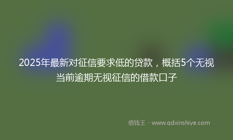 2025年最新对征信要求低的贷款，概括5个无视当前逾期无视征信的借款口子