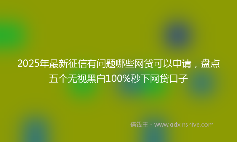 2025年最新征信有问题哪些网贷可以申请，盘点五个无视黑白100%秒下网贷口子
