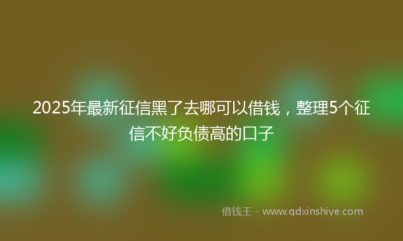 2025年最新征信黑了去哪可以借钱，整理5个征信不好负债高的口子