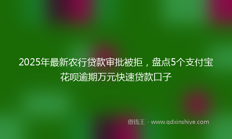 2025年最新农行贷款审批被拒，盘点5个支付宝花呗逾期万元快速贷款口子