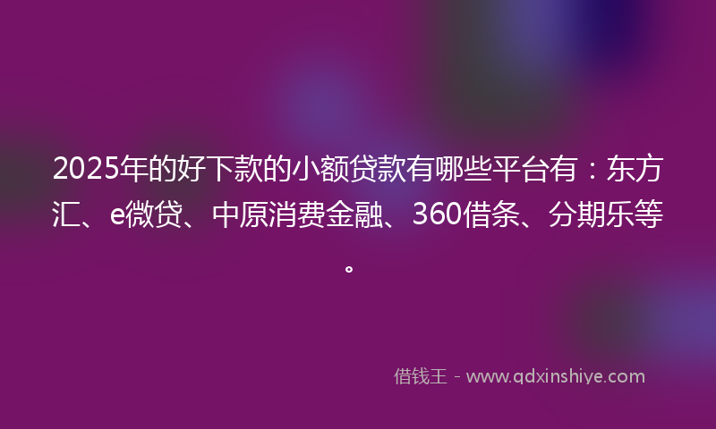 2025年的好下款的小额贷款有哪些平台有：东方汇、e微贷、中原消费金融、360借条、分期乐等。