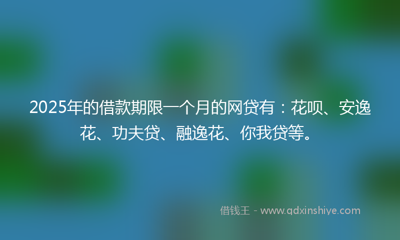 2025年的借款期限一个月的网贷有：花呗、安逸花、功夫贷、融逸花、你我贷等。