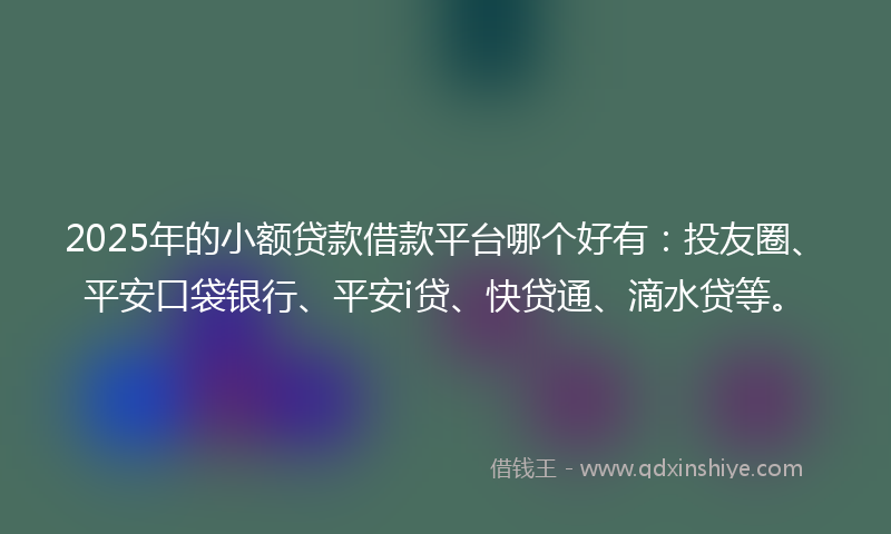 2025年的小额贷款借款平台哪个好有：投友圈、平安口袋银行、平安i贷、快贷通、滴水贷等。
