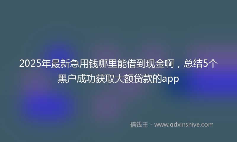 2025年最新急用钱哪里能借到现金啊，总结5个黑户成功获取大额贷款的app