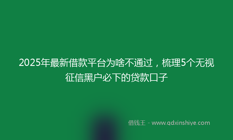 2025年最新借款平台为啥不通过，梳理5个无视征信黑户必下的贷款口子