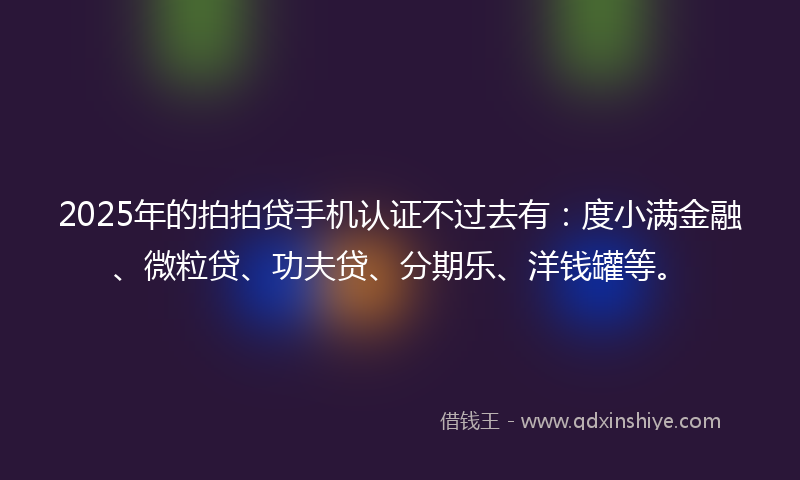 2025年的拍拍贷手机认证不过去有：度小满金融、微粒贷、功夫贷、分期乐、洋钱罐等。
