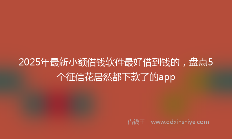 2025年最新小额借钱软件最好借到钱的，盘点5个征信花居然都下款了的app