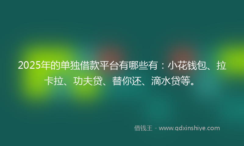 2025年的单独借款平台有哪些有：小花钱包、拉卡拉、功夫贷、替你还、滴水贷等。