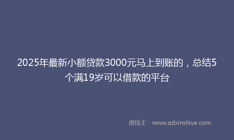 2025年最新小额贷款3000元马上到账的，总结5个满19岁可以借款的平台