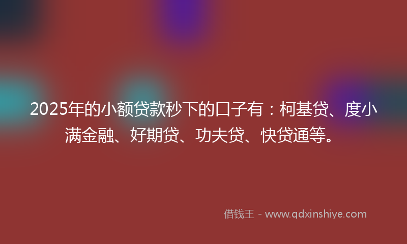 2025年的小额贷款秒下的口子有：柯基贷、度小满金融、好期贷、功夫贷、快贷通等。