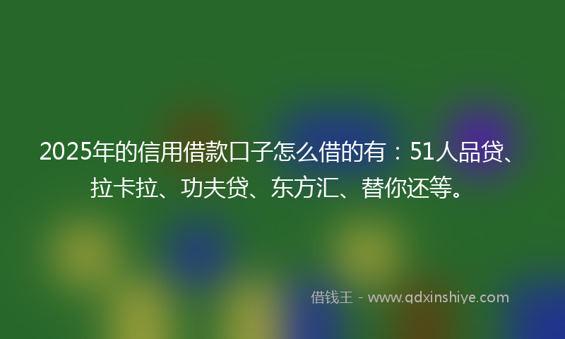 2025年的信用借款口子怎么借的有：51人品贷、拉卡拉、功夫贷、东方汇、替你还等。