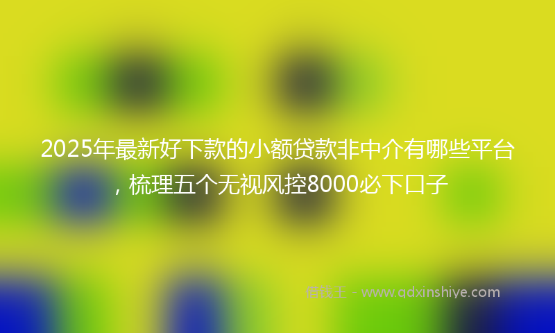 2025年最新好下款的小额贷款非中介有哪些平台，梳理五个无视风控8000必下口子